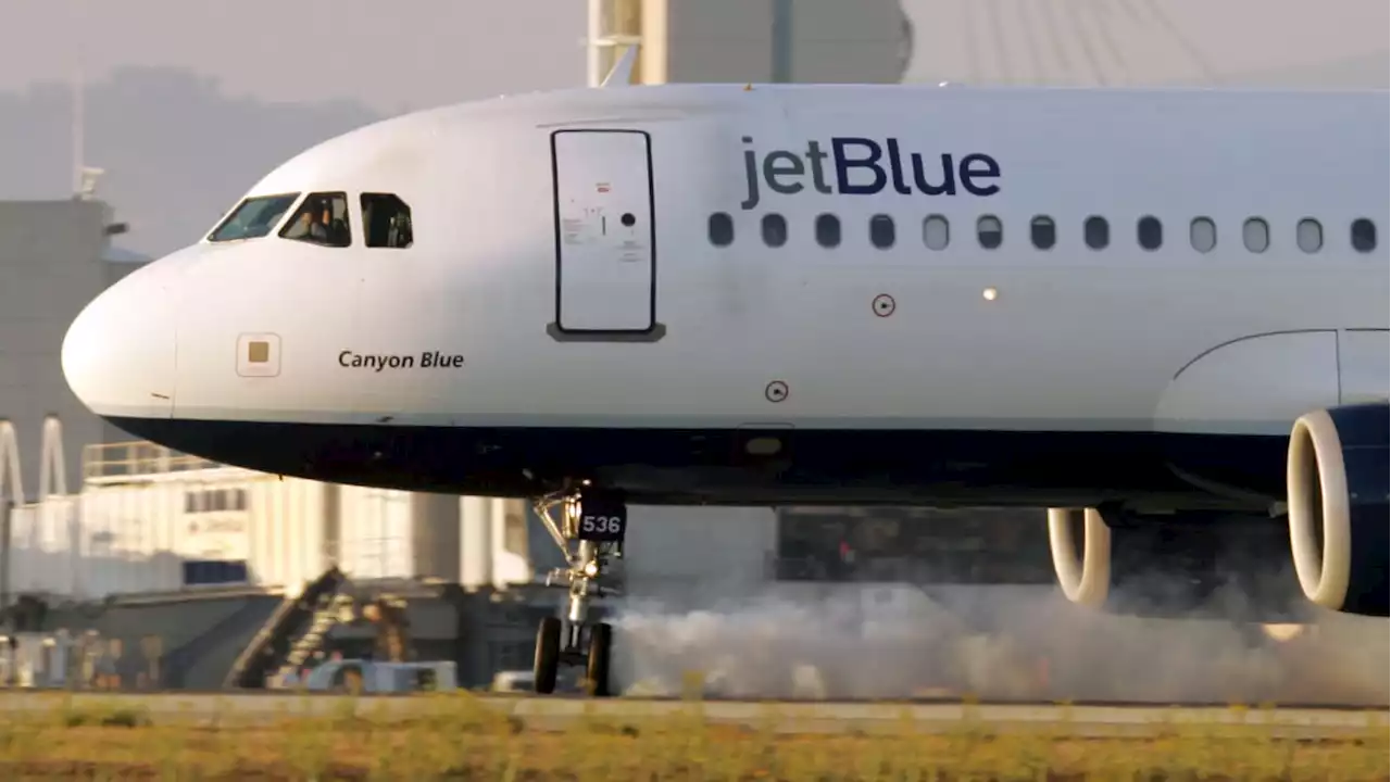 Trucker Accused of Groping Two Women Aboard JetBlue Flight