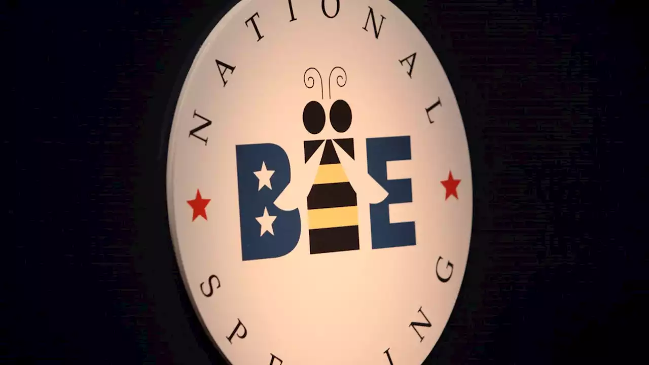 More than spelling: Scripps National Spelling Bee contestants know words - and how we use them - matter