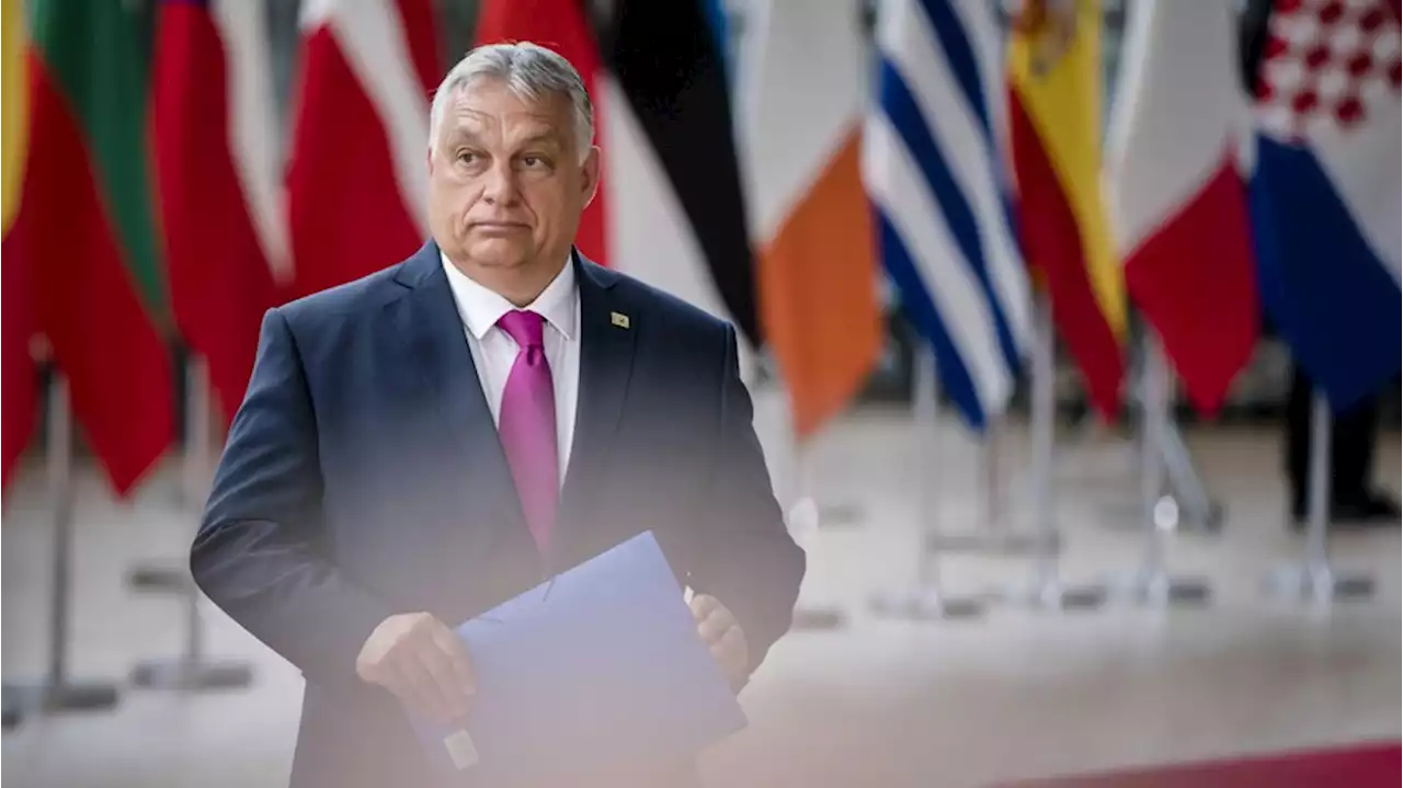 Warum Viktor Orbán wochenlang ein Öl-Embargo der EU blockiert hat