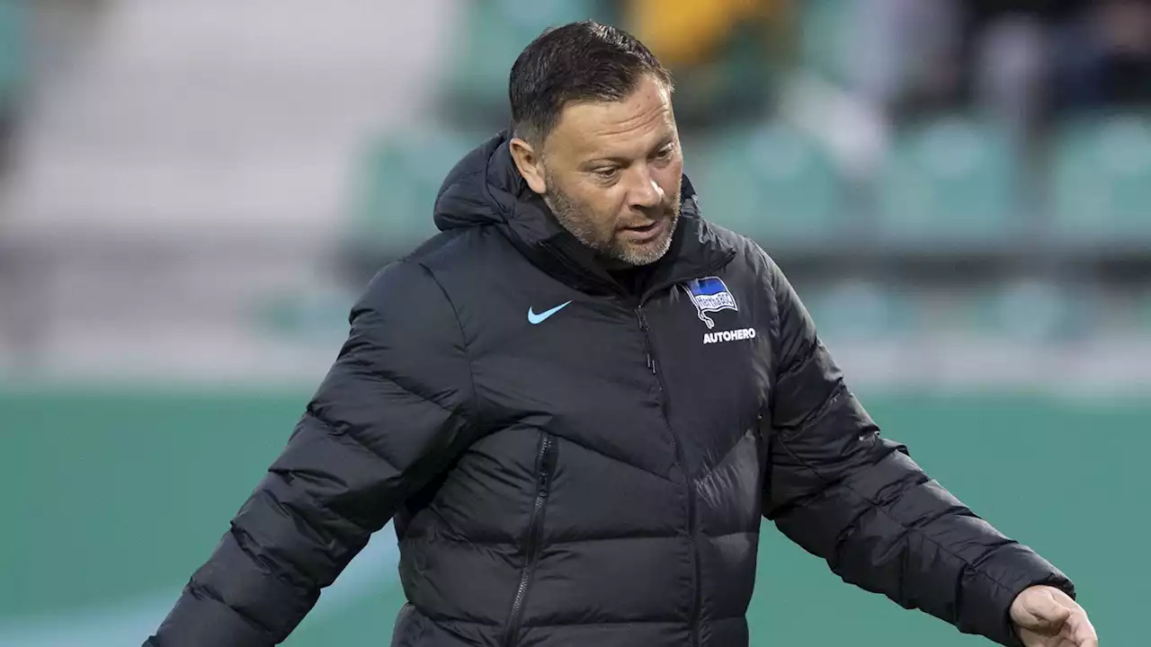 Trennung von Hertha-Legende Pal Dardai steht bevor