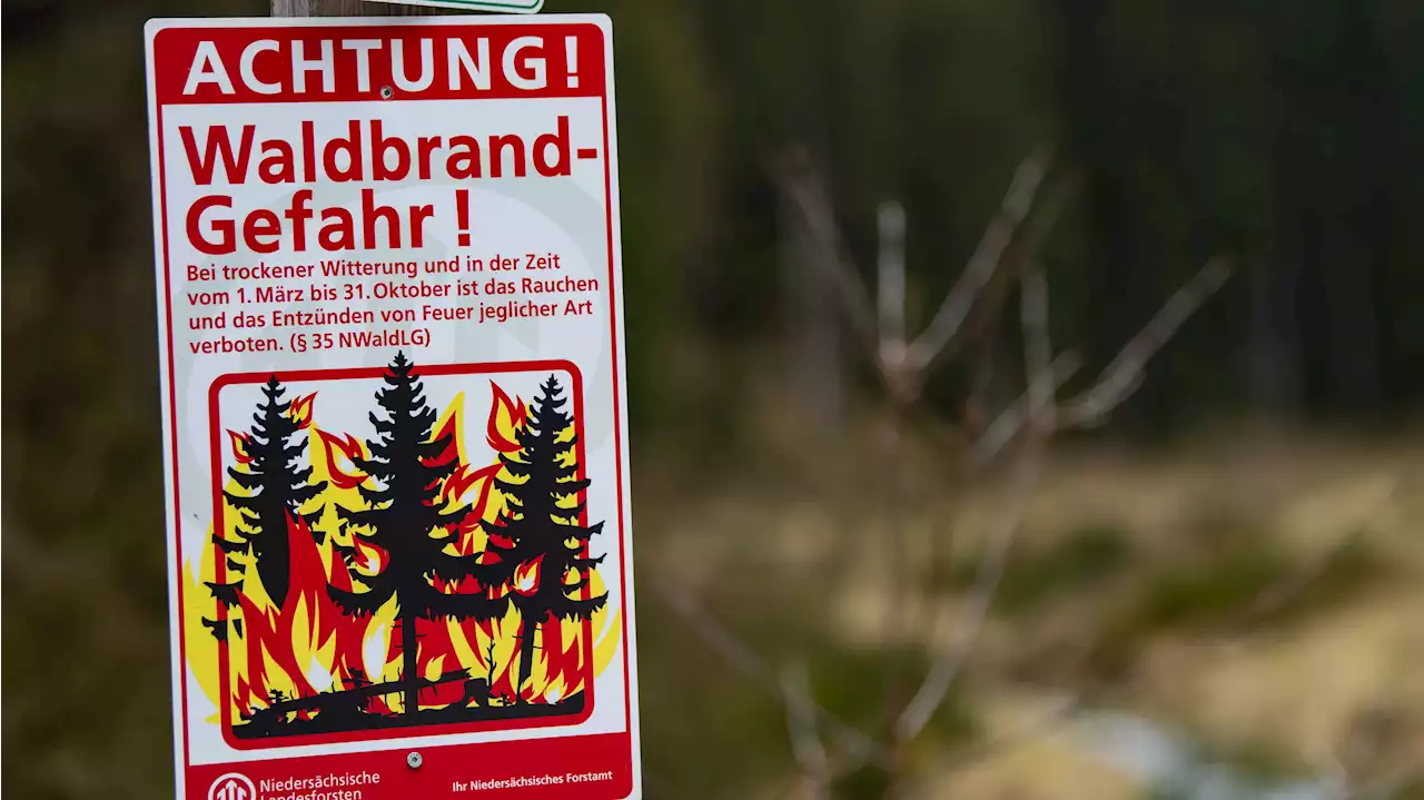 Waldbrandgefahr steigt mit hohen Temperaturen wieder