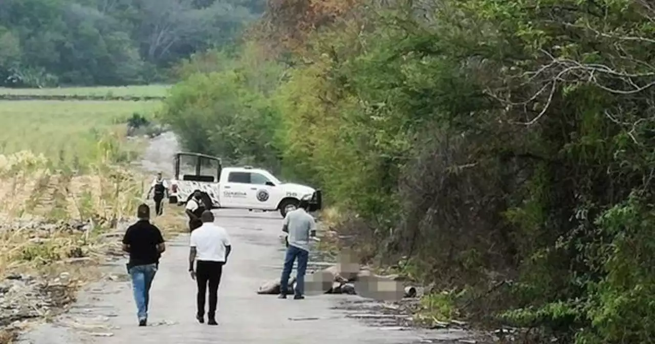 Macabro hallazgo en México: siete cadáveres fueron abandonados en un camino