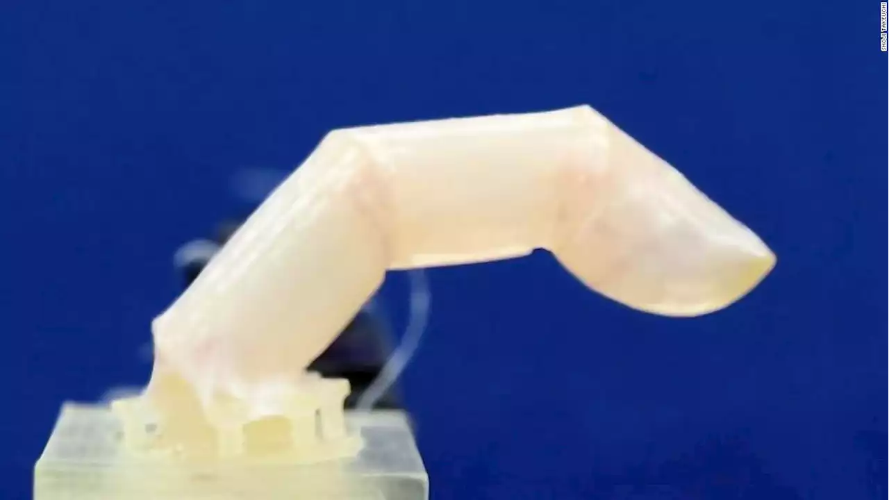 Robots can now be built with living humanlike skin