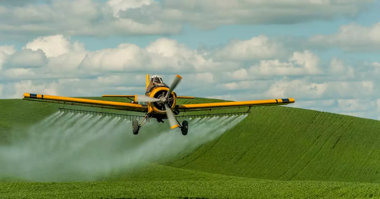 Over 400 Groups Call on UN Food Agency to 'End Partnership With Pesticide Industry'