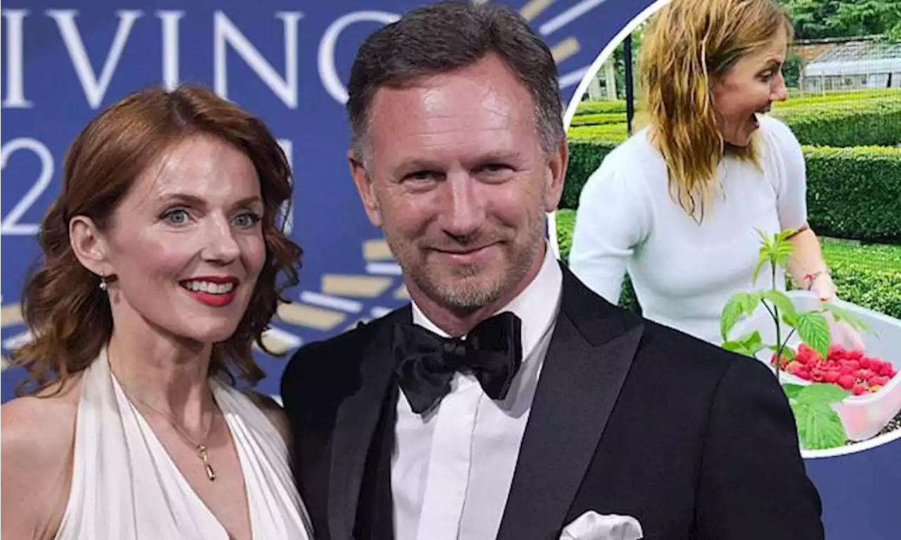 Geri Horner and husband Christian submit plans for £30k glasshouse