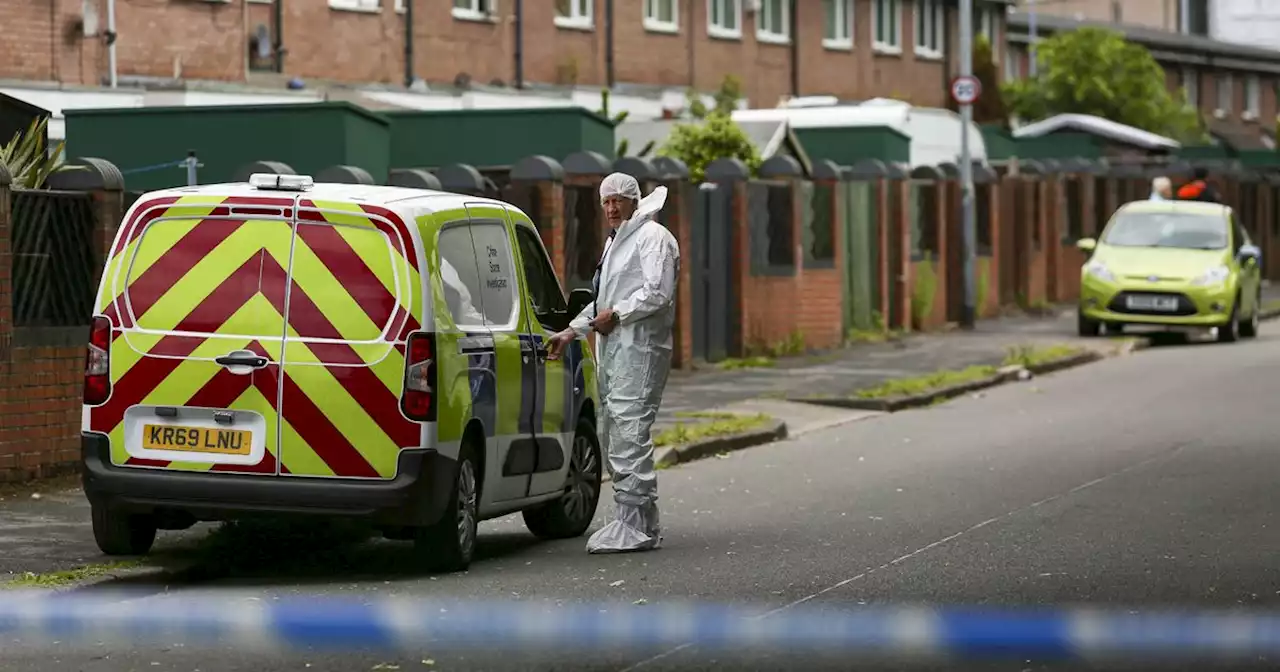 Boy, 14, stabbed to death 'while trying to defend mum' as police hunt attacker