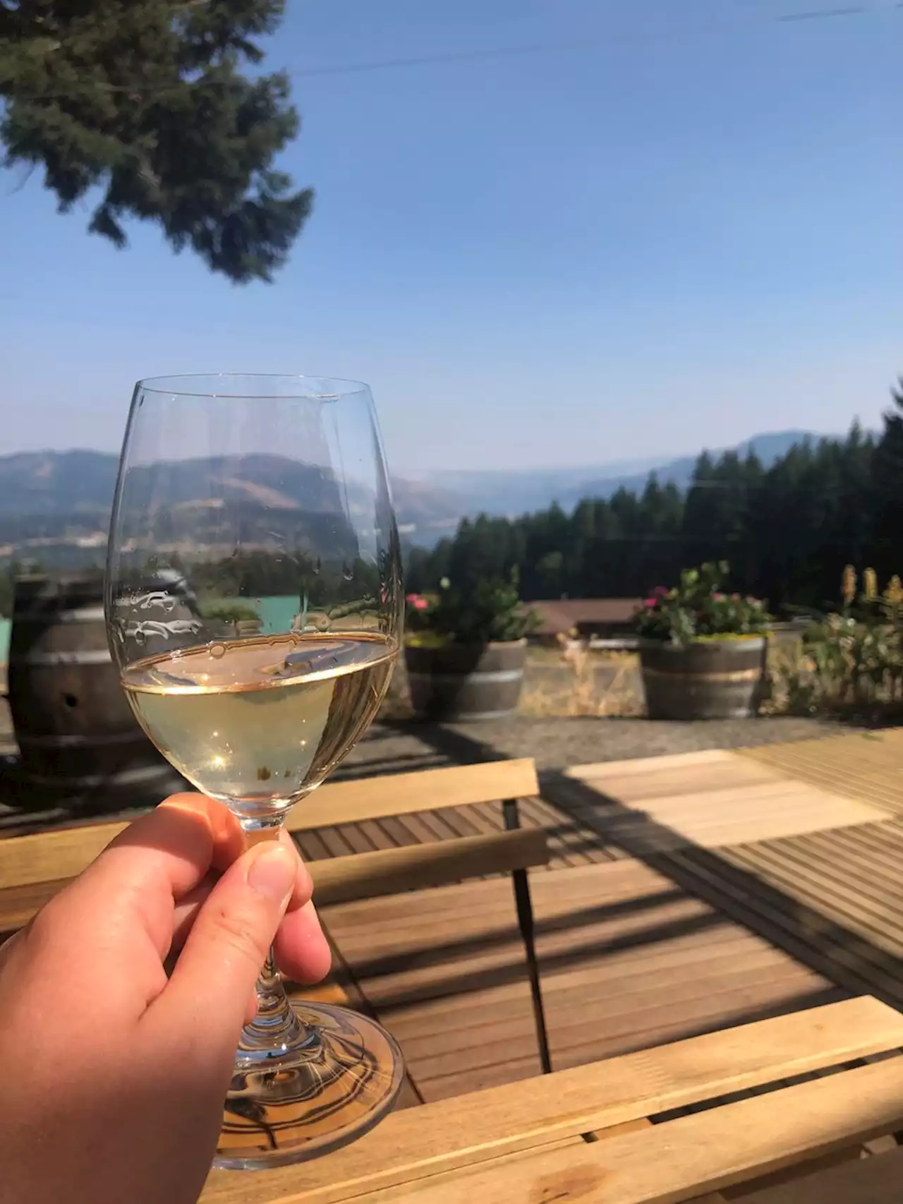 Where to Taste Wine in and Near the Columbia River Gorge