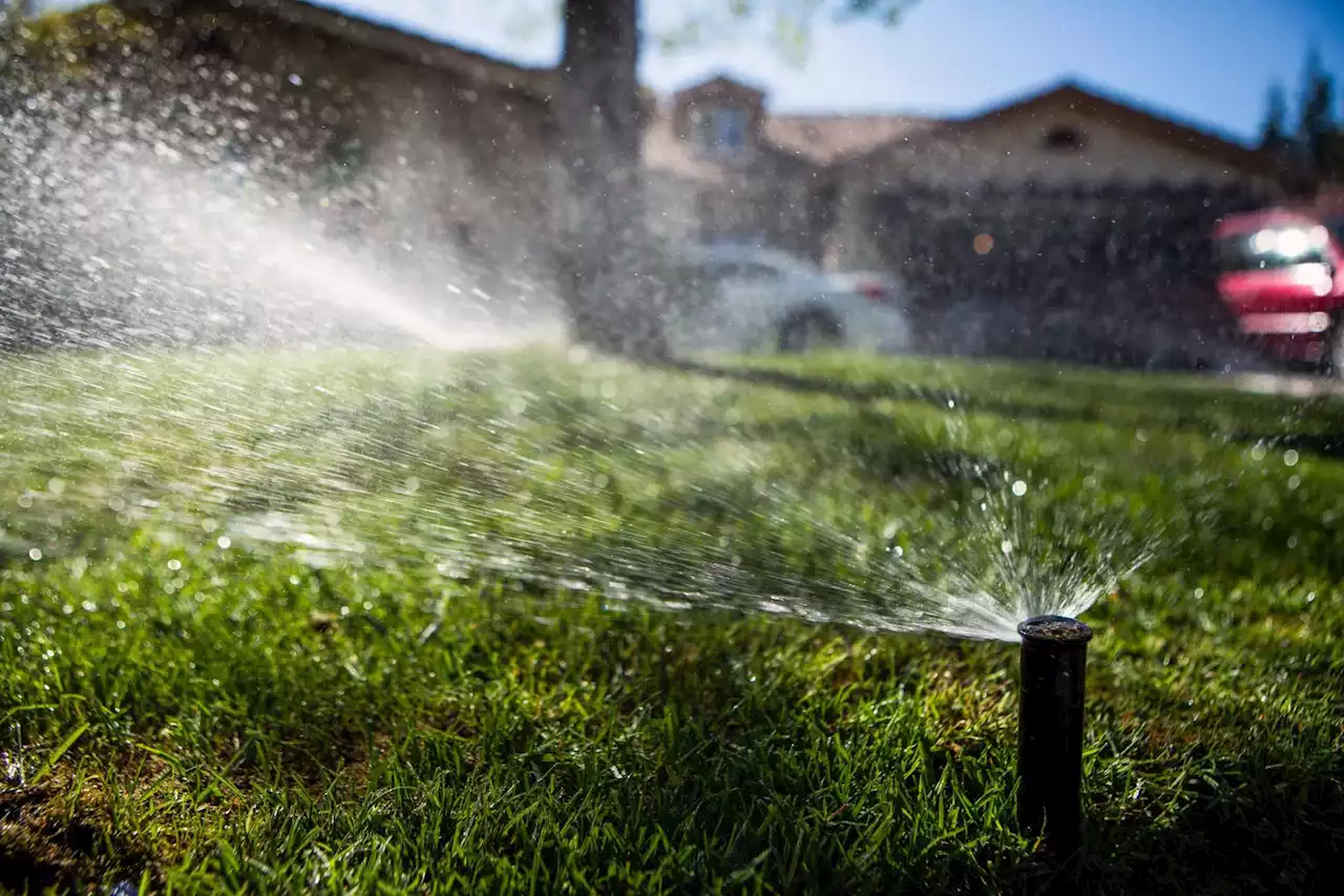 San Antonio: How to care for your lawn during the drought