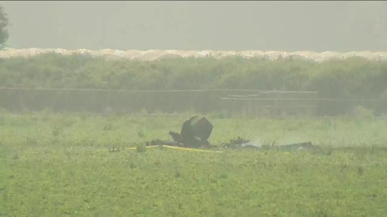 Pilot killed after plane crashes into strawberry field in Oxnard