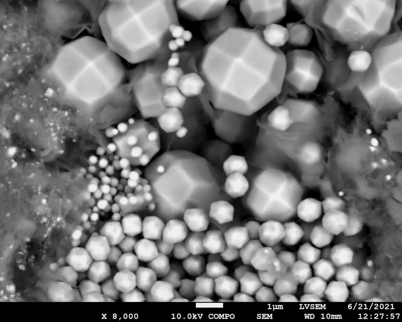 はやぶさ２ 砂のアミノ酸は２３種 リュウグウ起源は「氷天体」の新説 - トピックス｜Infoseekニュース