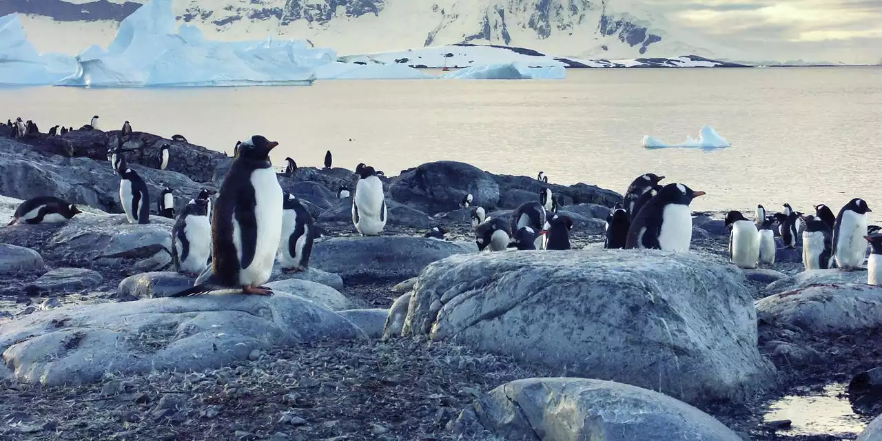 Climate-change warning: Microplastics found in fresh snow in the world's most remote place