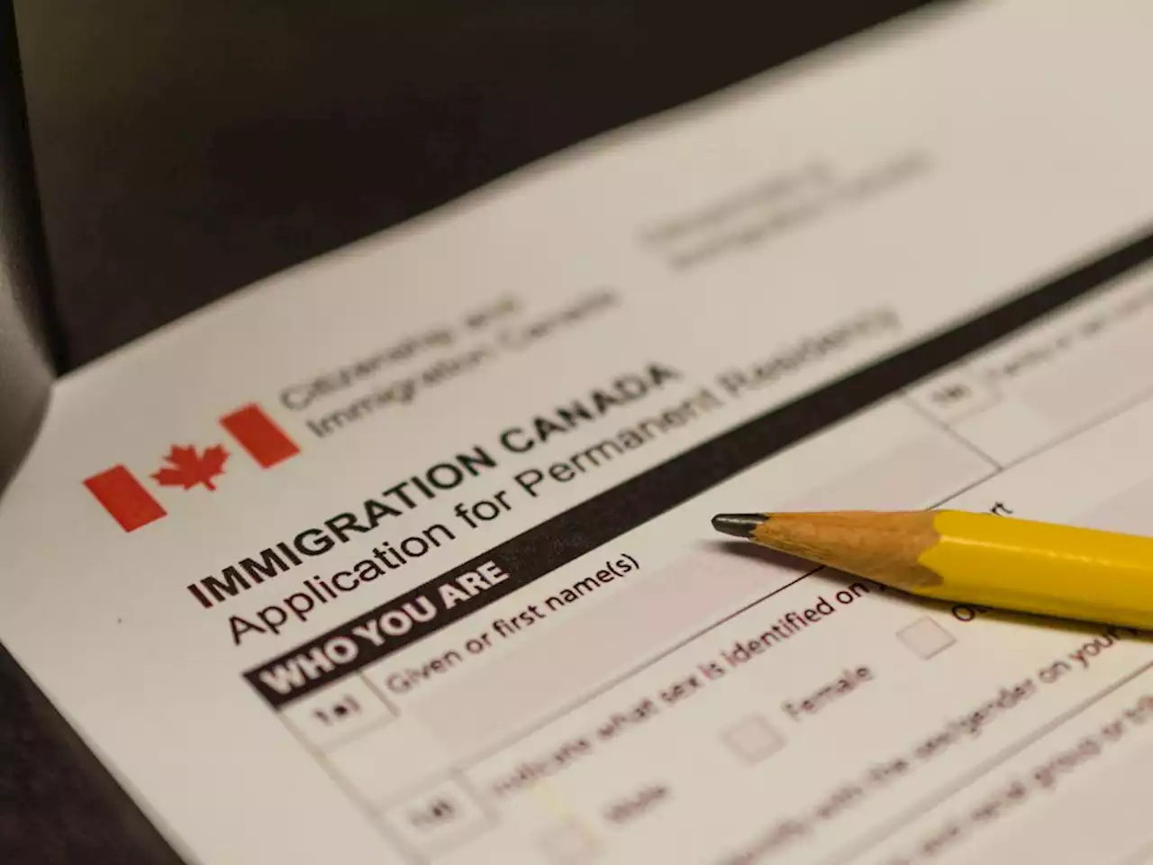 Opinion: Canada needs an edge — and immigrants can provide it