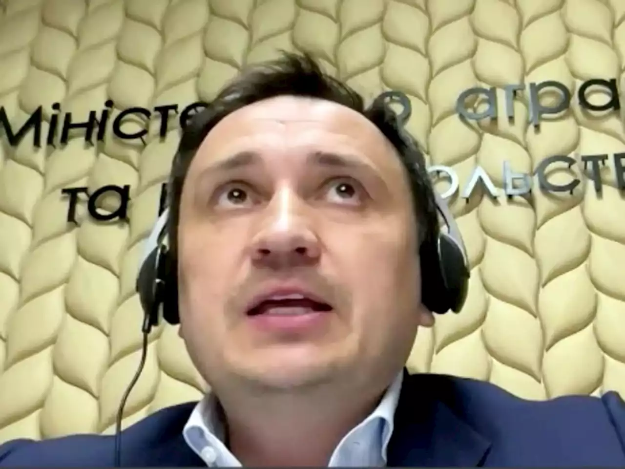 Ukraine asks Canada to send 'storage facilities, plastic bags' to save grain blocked from export