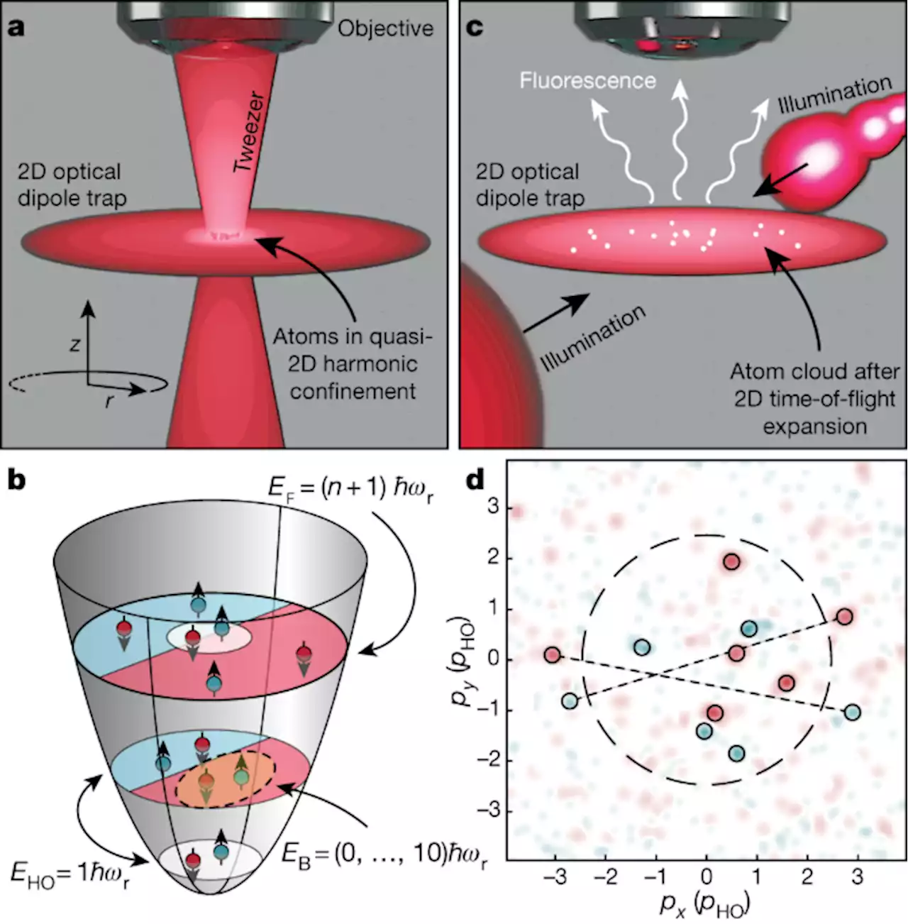 Observation of Cooper pairs in a mesoscopic two-dimensional Fermi gas - Nature