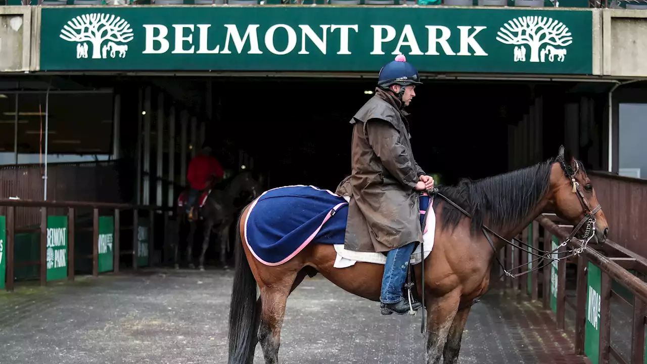 2022 Belmont Stakes: TV Schedule, Post Time, Odds