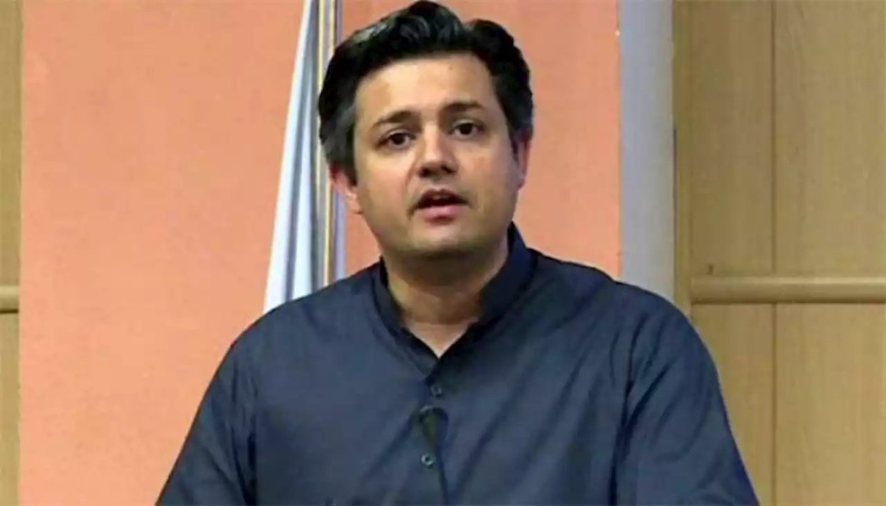 حماد اظہر نے وزیر خزانہ کی مراعات کا پول کھول دیا