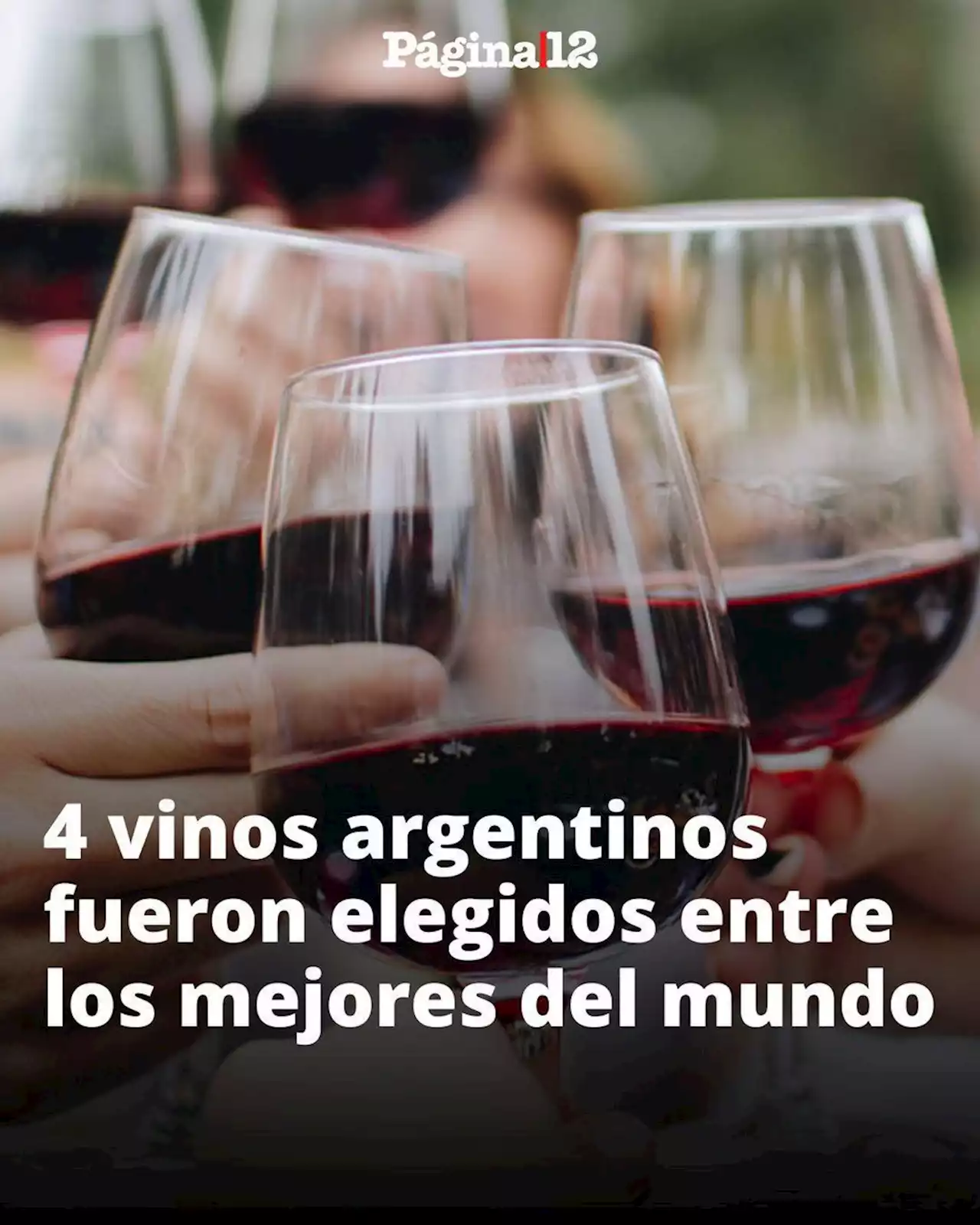 Cuatro vinos argentinos fueron elegidos entre los 50 mejores del mundo: cuáles son y cuánto cuestan