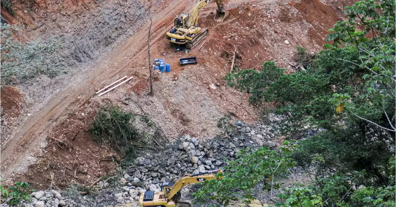 In Bolivia's Amazon, wildcat gold mining boom stokes tension over environment