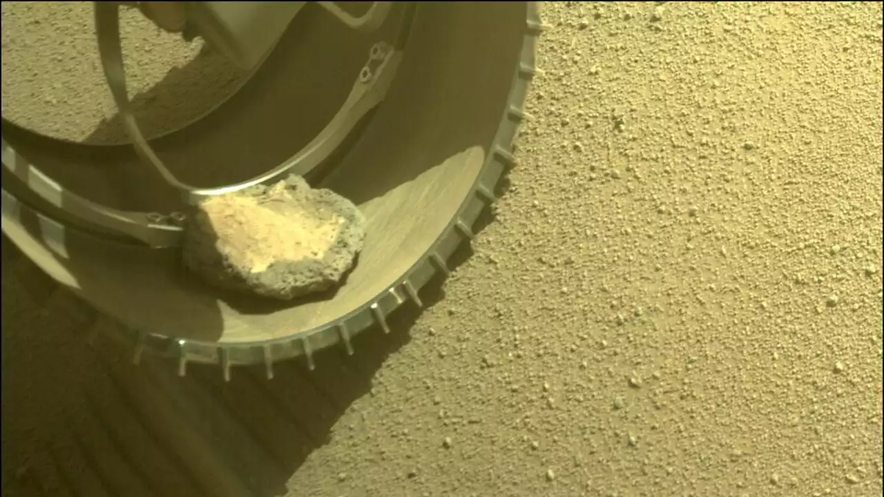 NASA's Perseverance rover on Mars has a 'pet rock' along for the ride