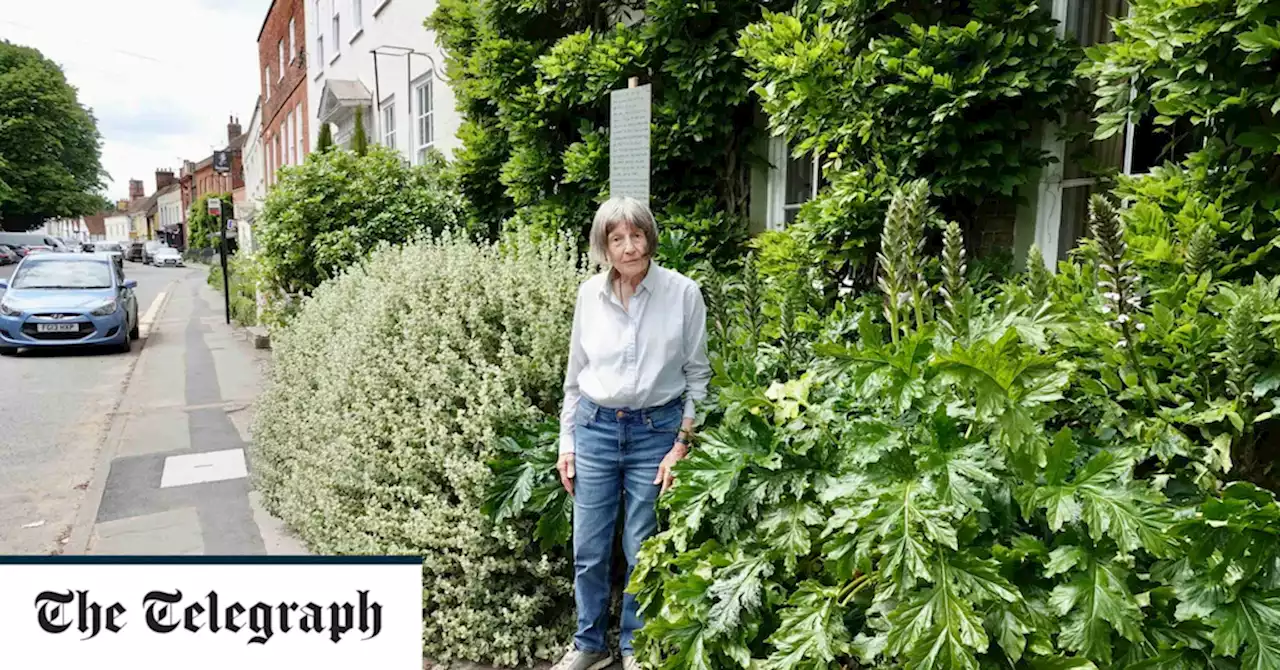 Prickly row over ‘trip hazard’ shrubs pits gardener against council