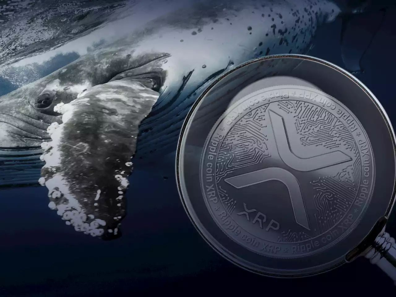 XRP Becomes Most Wanted Crypto by BSC Whales: Details