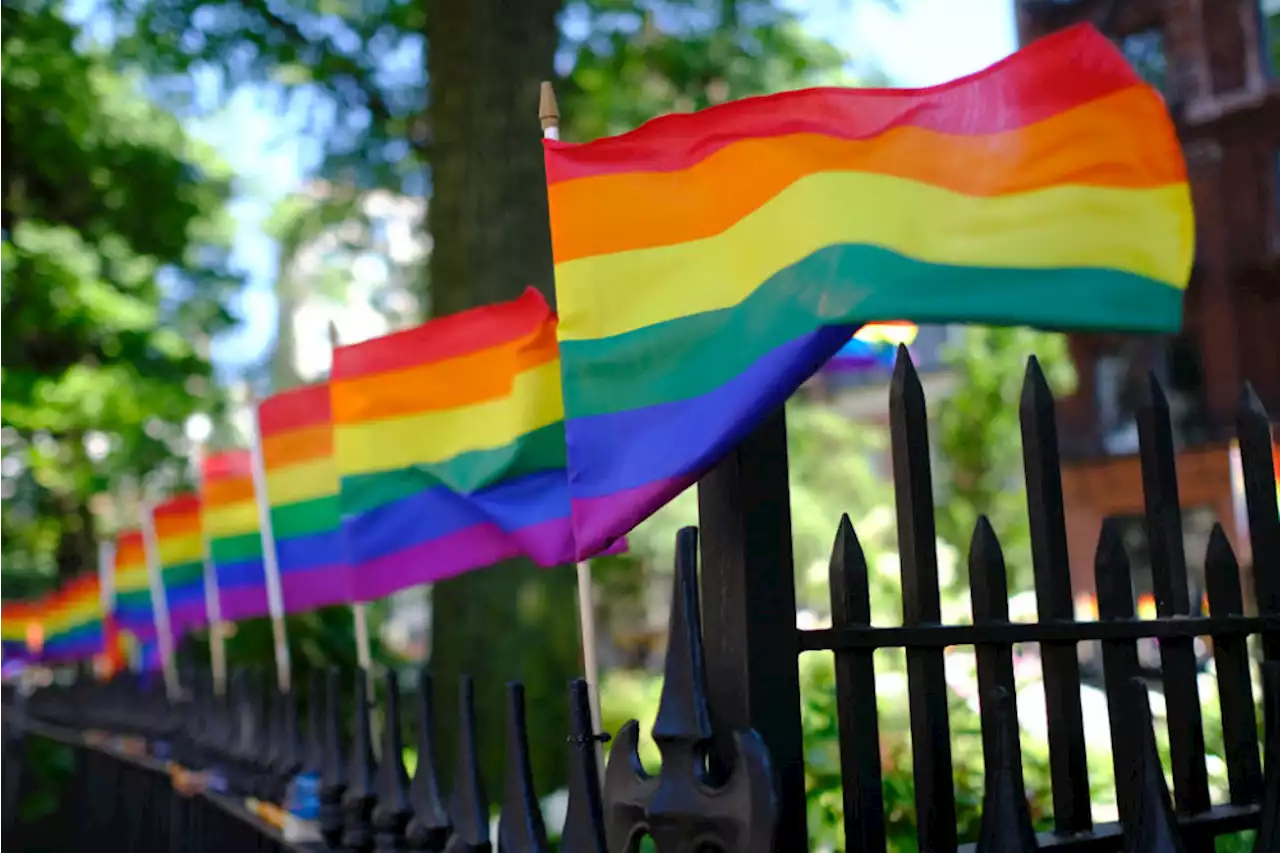 5 things to do this weekend to celebrate Pride