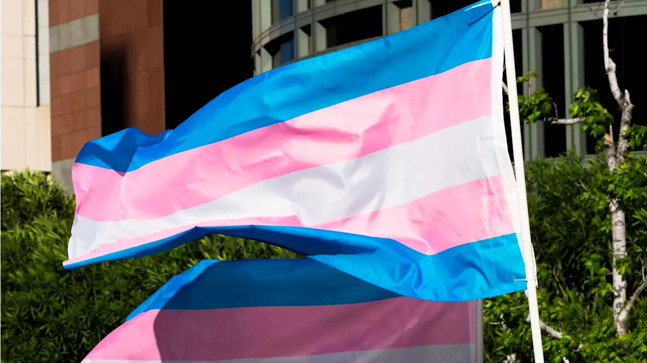 Report: Almost half of trans people in U.S. are teens and young adults