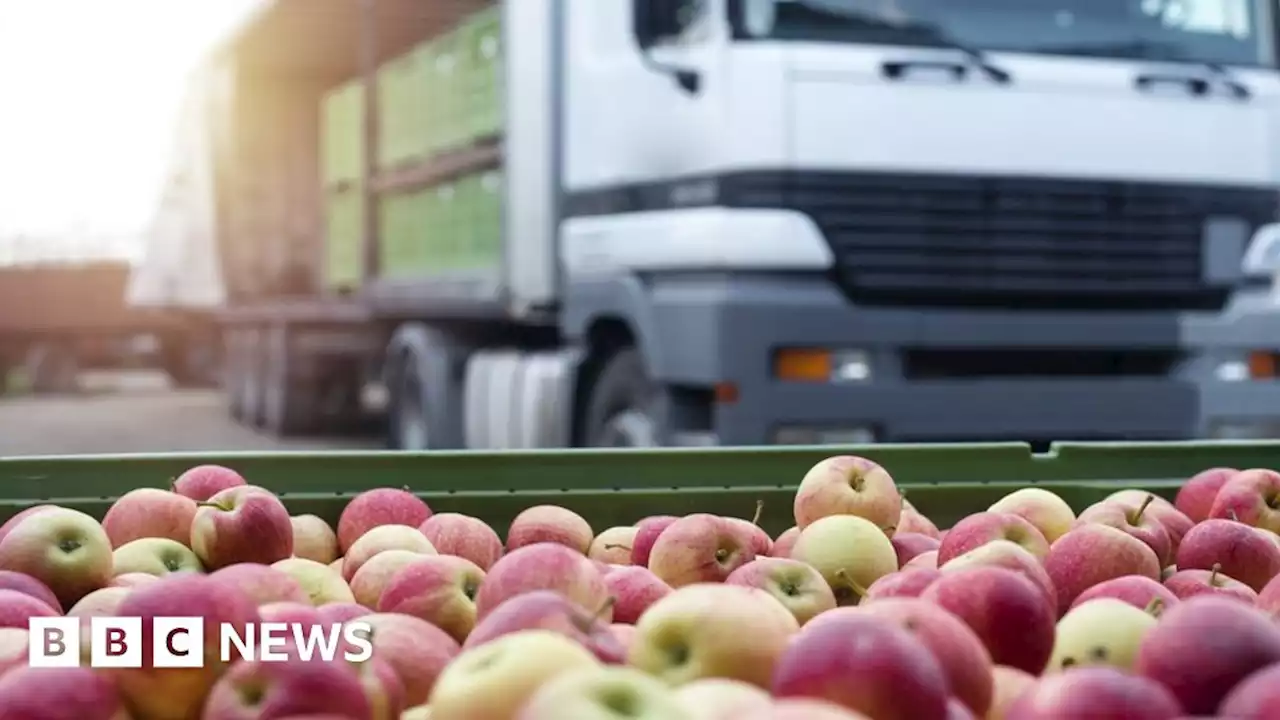 NI Protocol: Food industry warns protocol is 'vital to trade'