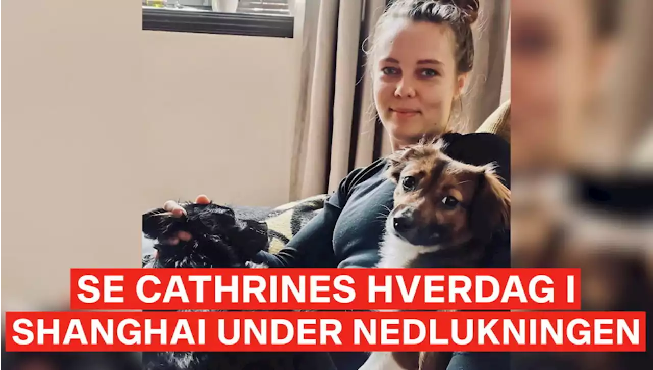 Frygt for endnu en hård nedlukning skaber panikindkøb i Shanghai