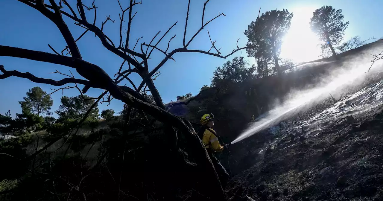 Heat will make way for cooling Sunday, Monday, then return | Central Coast Weather Report