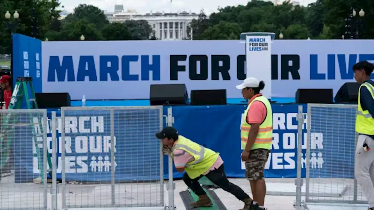 Gun control rallies set to take place across U.S. today | CBC News