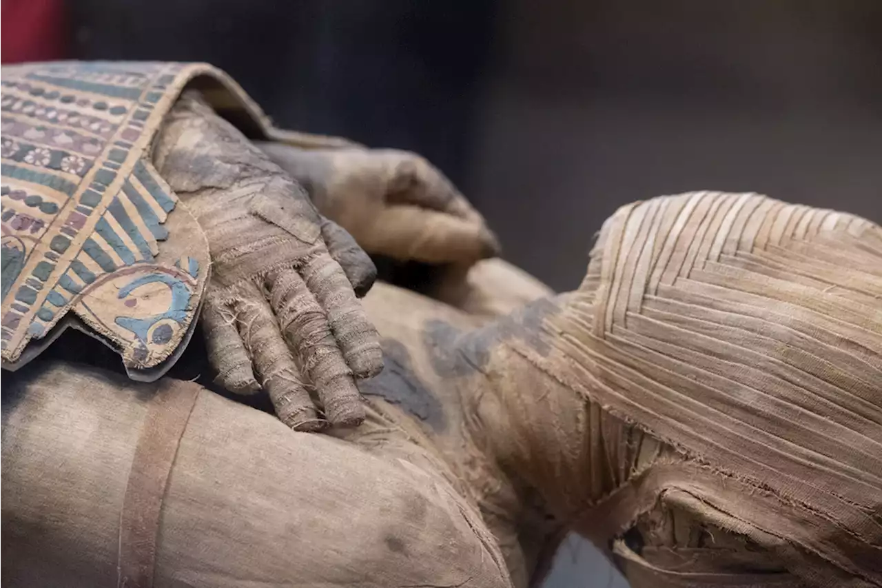 Medical Practitioners Once Used Egyptian Mummy Remains to Treat Ailments