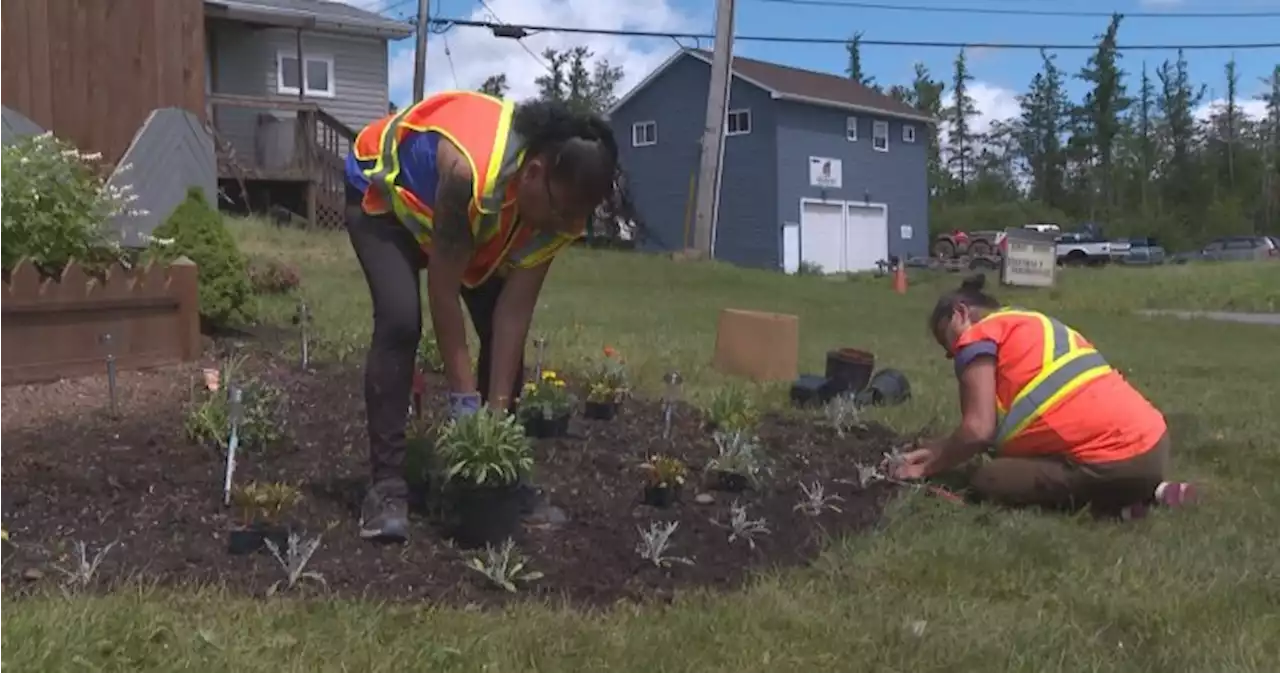 Beautification project gives N.S. First Nation income assistance clients work experience - Halifax | Globalnews.ca