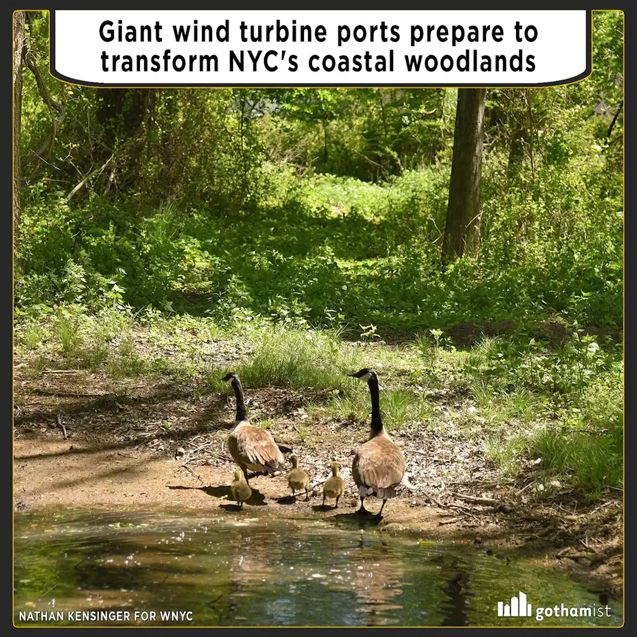 Giant wind turbine ports prepare to transform NYC's coastal woodlands