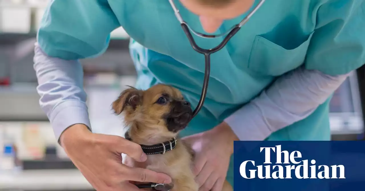 Nearly 70% of veterinarians have lost a colleague or peer to suicide, study finds