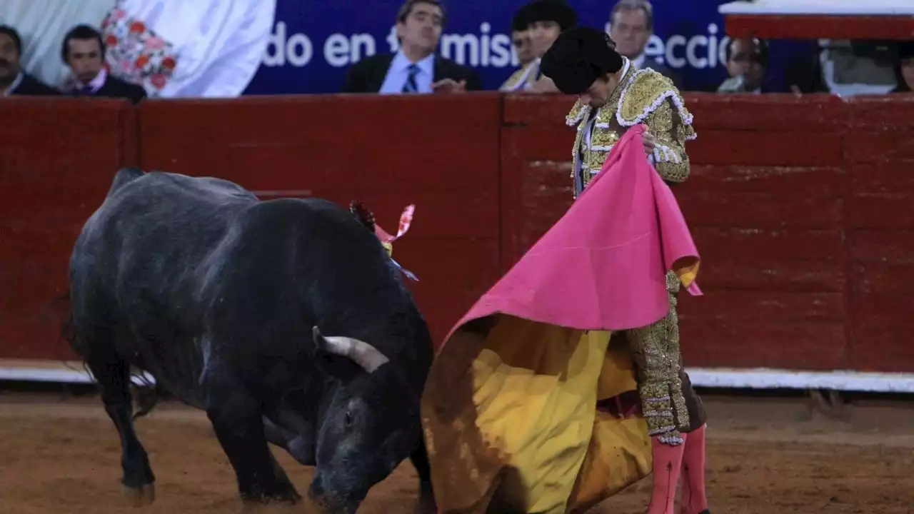 Suspenden corridas de toros en la Plaza México; 5 estados donde está prohibida la fiesta brava