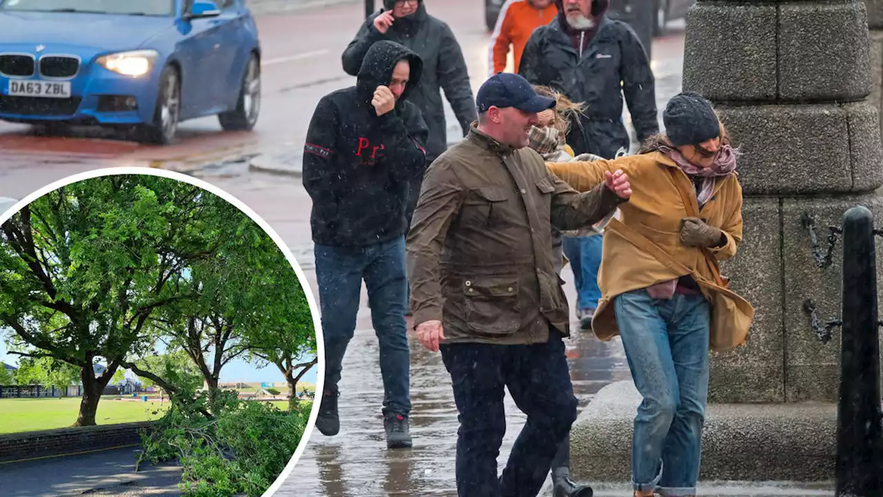 Gale force winds and heavy showers set to pummel UK as tropical Storm Alex remnants arrive