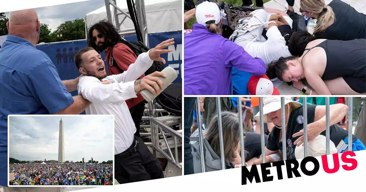 Panic at US gun control rally as man tries to rush stage