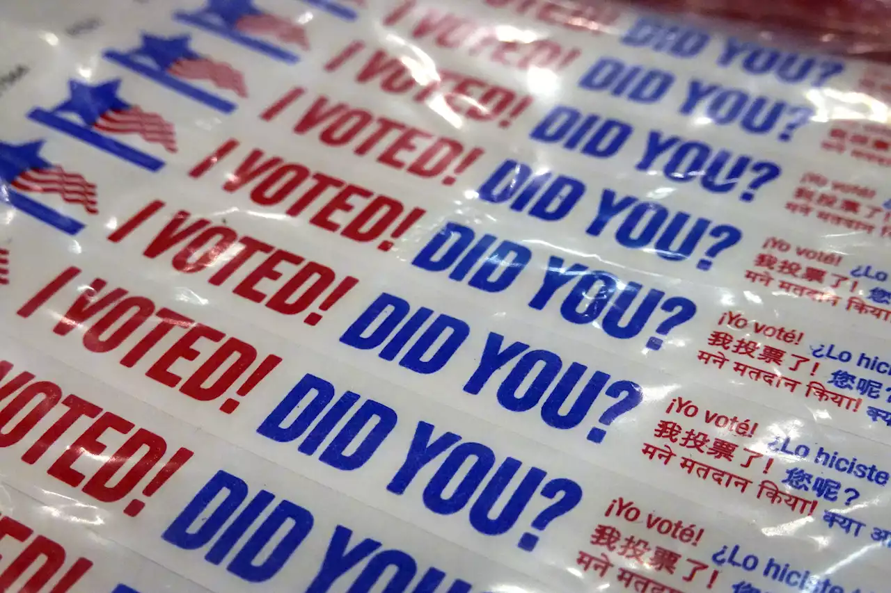 Illinois Primary Election: Last Day for Online Voter Registration Sunday