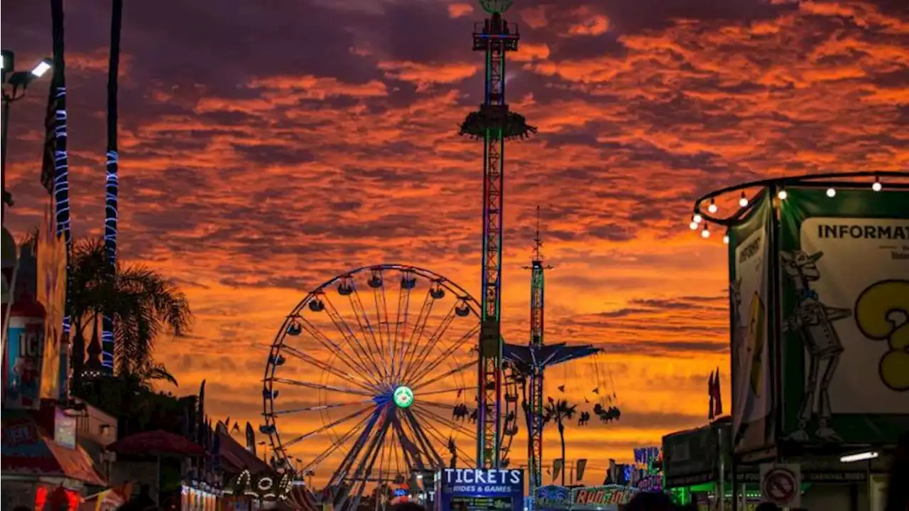 The San Diego County Fair Is Back for 2022. Here's What to Know