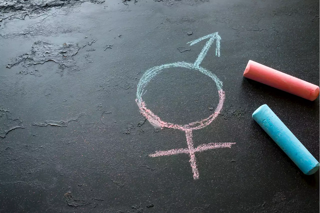 Outraged parents' lawsuit alleges gender dysphoria lessons given to kids