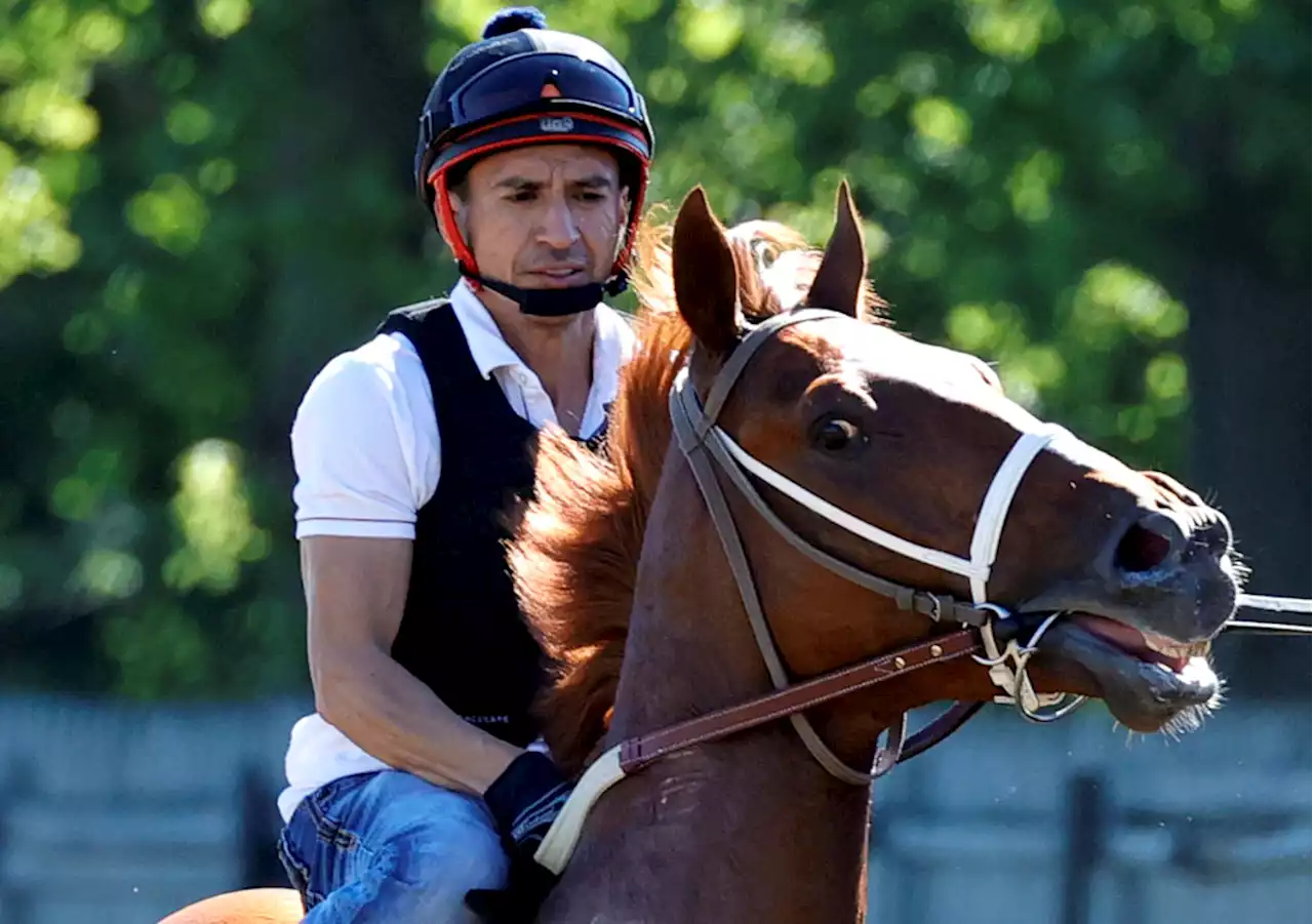 Kentucky Derby champ Rich Strike faces tough test in Belmont Stakes