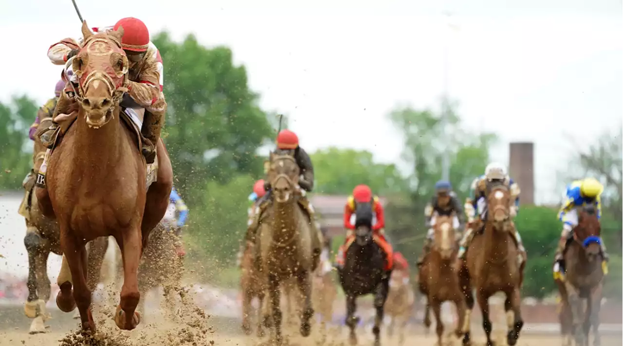 Belmont Stakes Betting Breakdown and Best Bets