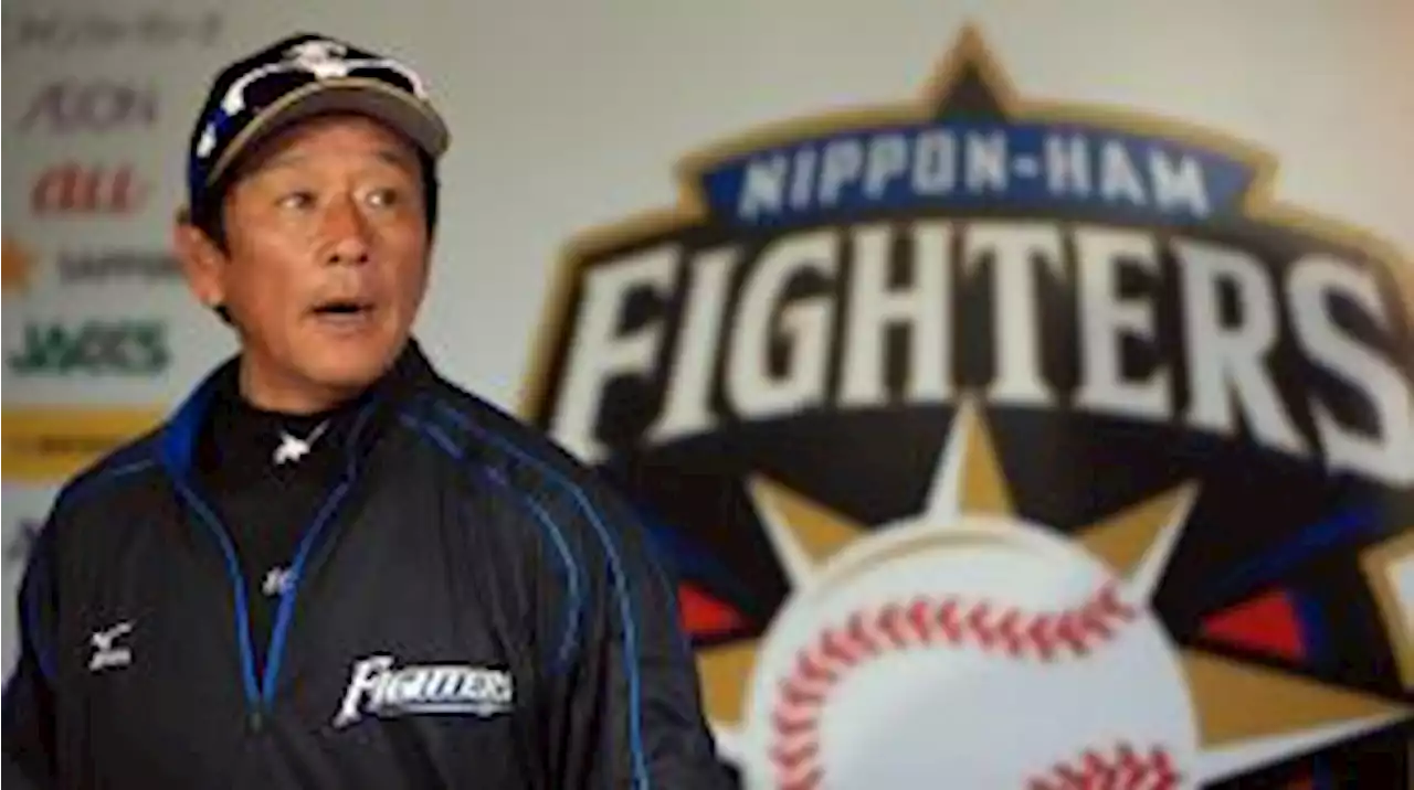 WBC 향해 시동 건 ‘사무라이 재팬’