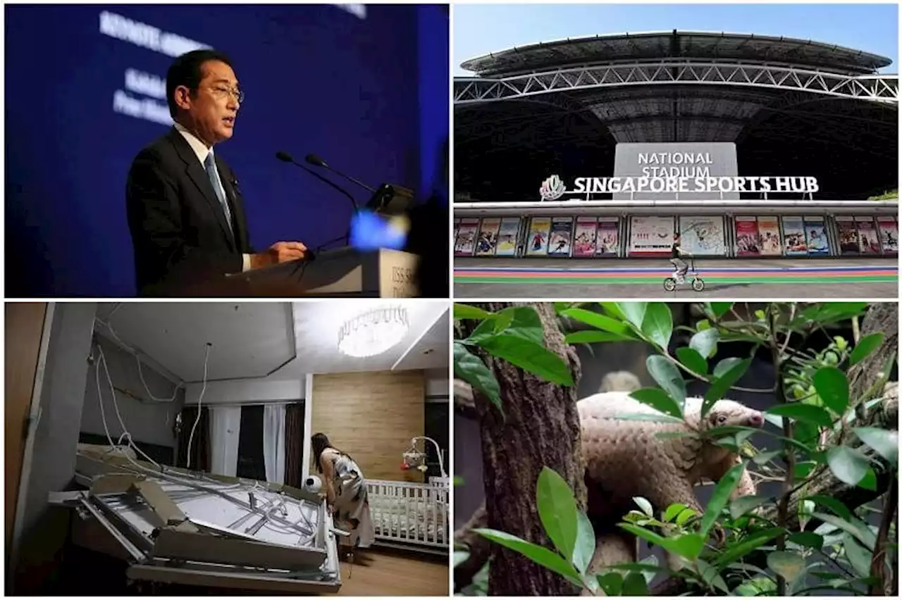 Morning Briefing: Top stories from The Straits Times on June 11
