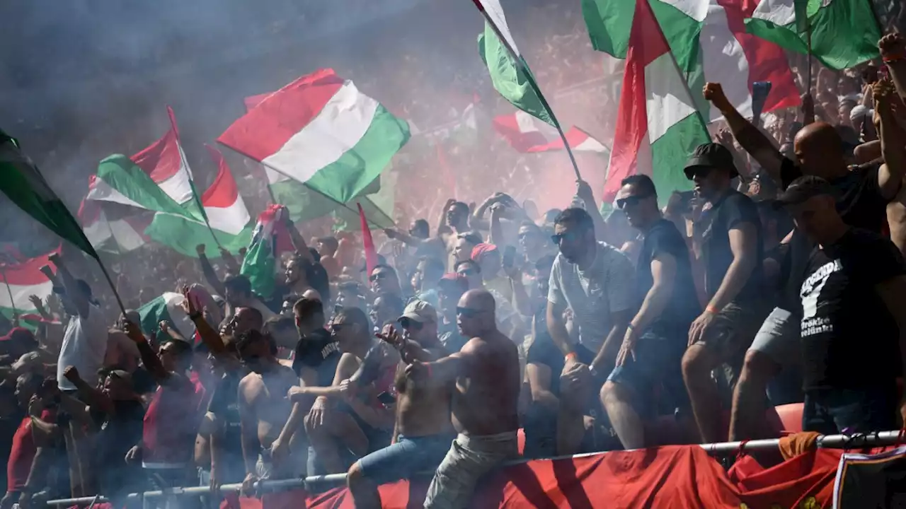 Ungarn und seine Fußballfans: Feindseliges Klima im Stadion