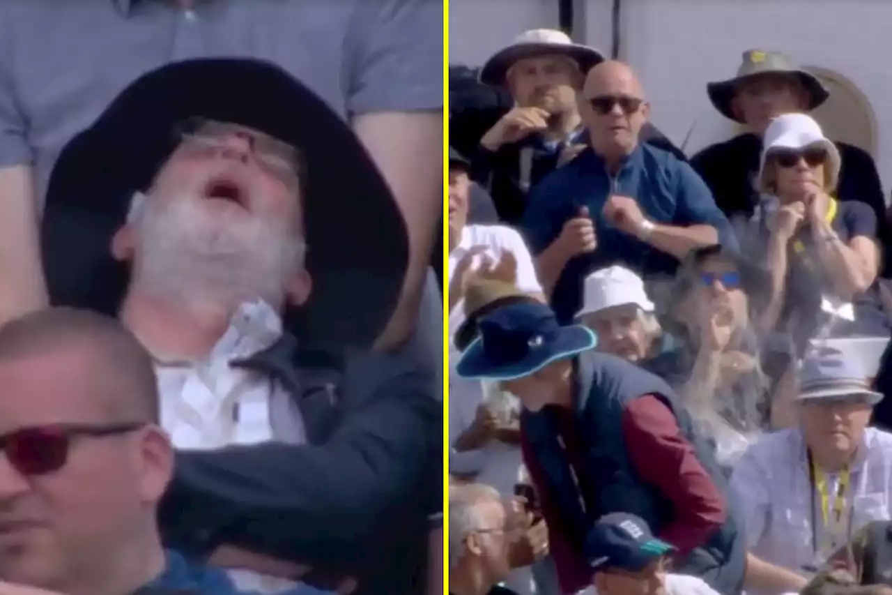 New Zealand take out pints and put fans to sleep as Mitchell ton frustrates England