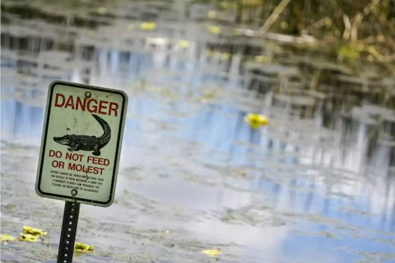 Police: Man who died in lake with gators missing 3 limbs