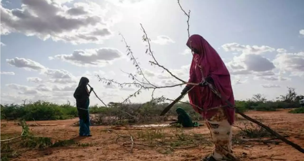 الجفاف بالصومال يجبر 800 ألف شخص على النزوح من منازلهم