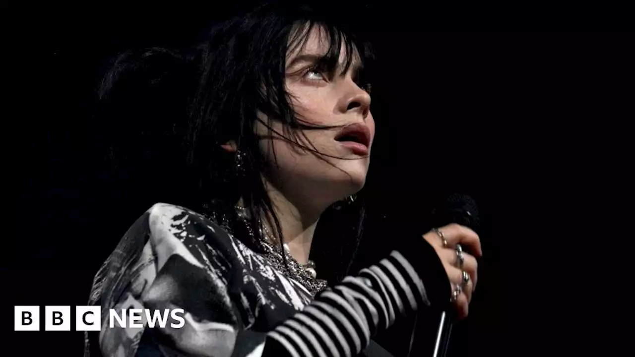 Billie Eilish pauses London show over fan safety